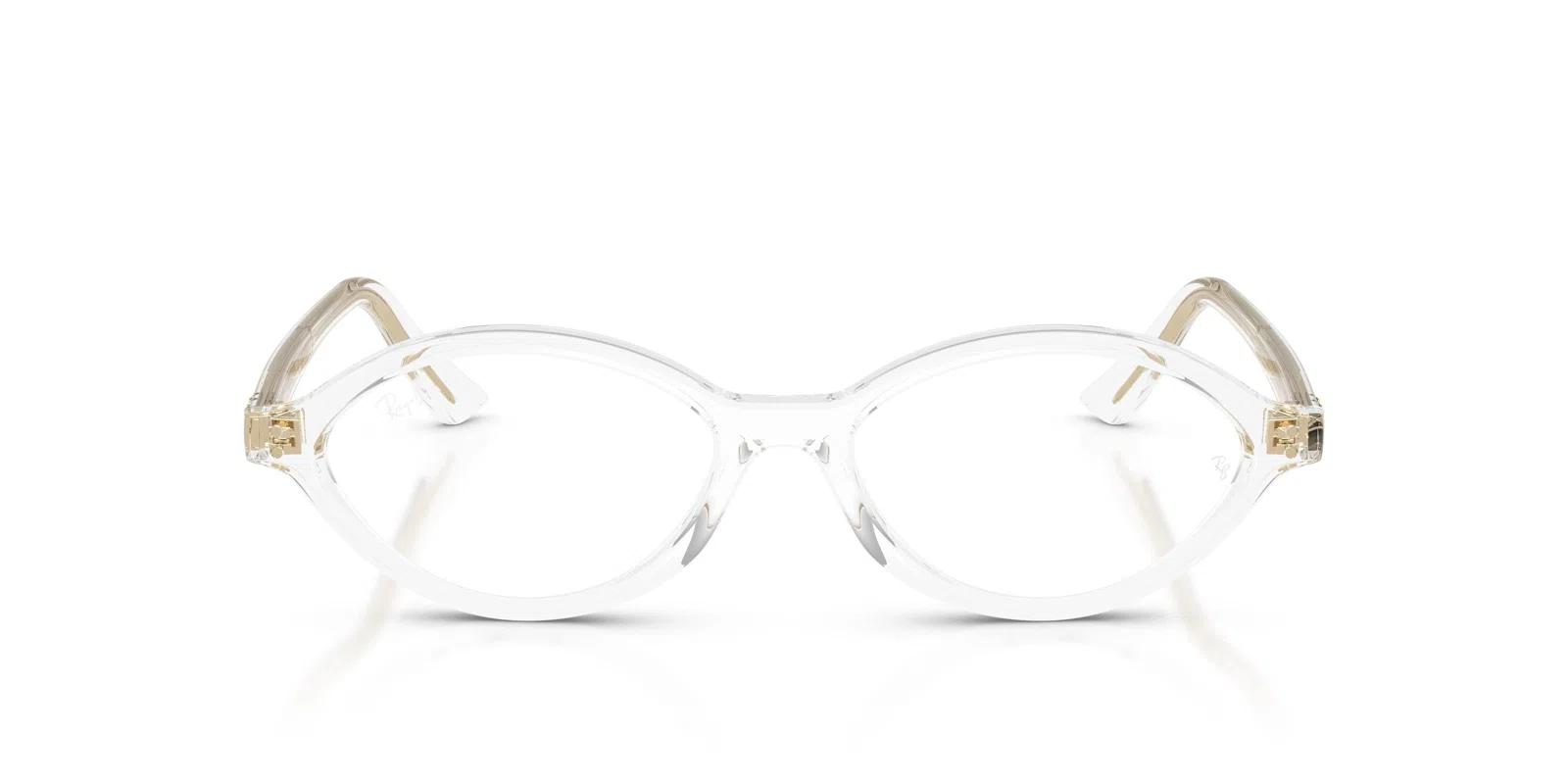 Ray-Ban 7265 Eyeglasses - view 49